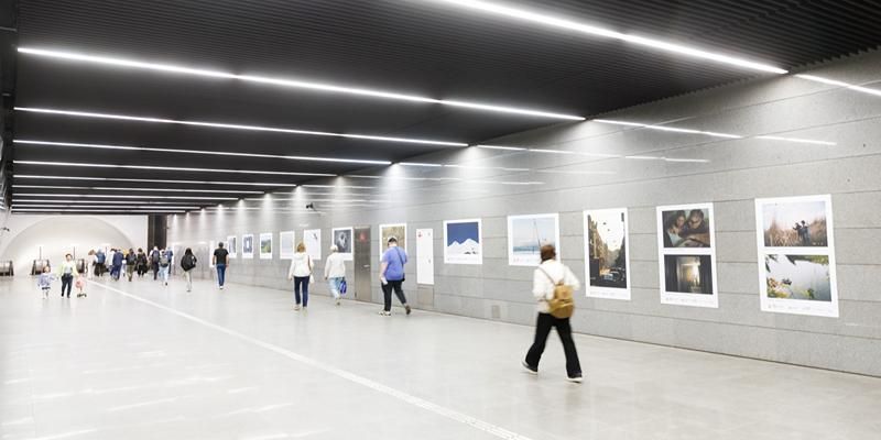 От Урала до Приэльбрусья: в столичном метро открылась фотовыставка «За это я люблю Россию»